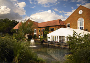 Ultimate Spa Day for Two at Marriott Tudor Park