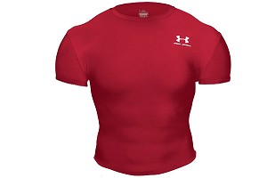 Under Armour HeatGear Short Sleeve Tee Mock