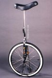 Unicycle.com Trainer 20` Beginner Unicycle