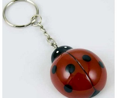 Unknown Keyring Ladybird Red Poly Resin 4x3cm