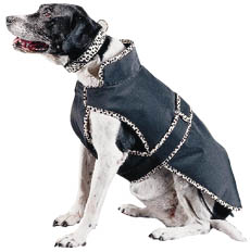 "Helsinki" Dog Coat - 30"