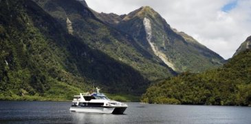 Unbranded 1 Dy Doubtful Sound Wilderness Cruise