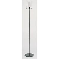Unbranded 1201 FLBC - Black and Glass Floor Lamp