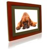 The 15 inch Range of Digital Photo Frames offers the ultimate features and quality available in the 
