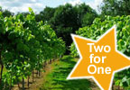 Unbranded 2 for 1 Vineyard Tour and Tasting plus Gift Box
