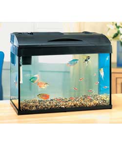 Complete set up for tropical fish including pump,