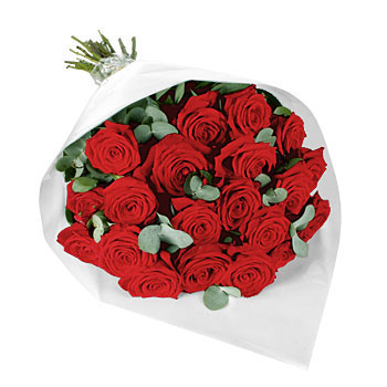 Unbranded 20 Luxury Red Roses with Eucalyptus - flowers