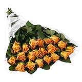 Unbranded 20 Short Stem Orange Roses Gift Wrap - flowers