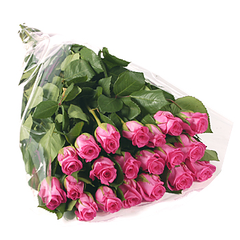 Unbranded 20 Short Stem Pink Roses Gift Wrap - flowers