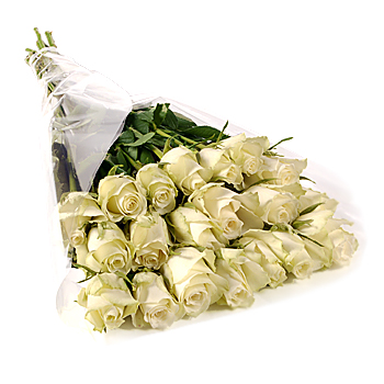 Unbranded 20 Short Stem White Roses Gift Wrap - flowers