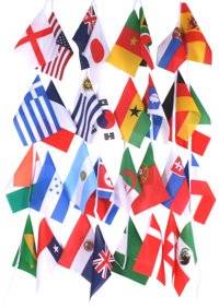 Unbranded 2010 World Cup Bunting - Fabric
