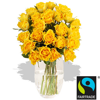 Unbranded 24 Fairtrade Yellow Roses - flowers