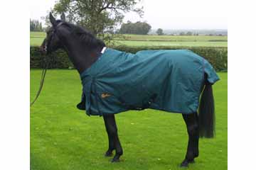 350g Winter Turnout Horse Rug - Endorsed by Scu