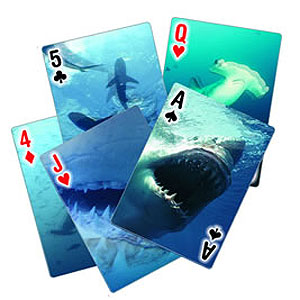 Unbranded 3D Shark Playing Cards