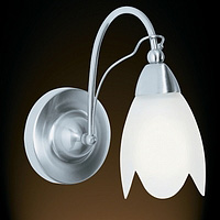 Delicate satin silver fitting with a white petal glass shade. Height - 22cm Diameter - 11cmProjectio