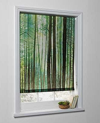 Capture and create natural serenity in your hallways or offices with this 4ft Trees Photograph Roller Blind. This blind can be easily trimmed to suit your need. Includes fixtures
