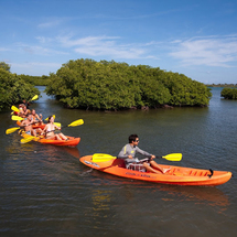 Unbranded 4x4 Island Safari and Eco Kayak Tour - Adult
