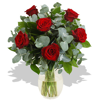Unbranded 6 Red Roses and Cinera - flowers