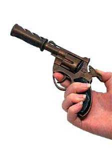 8 SHOT GUN/SILENCER