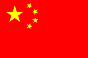 8ftx10flags China bunting
