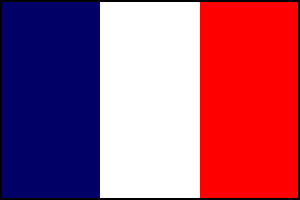 8ftx10flags France bunting