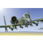 Unbranded A-10 Warthog `Holy *~.. !` Desert Storm
