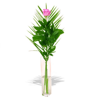 Unbranded A Pink Rose in a Vase - flowers