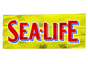 Unbranded Admission to a sea life centre (adult)