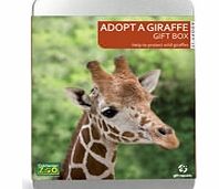 By adopting a giraffe, you will support Colchester Zoos charity, Action for the Wild. Includes easy-to-follow instructions  register online or by post to adopt a giraffe. Upon registration you will receive a personalised supporter certificate, an g
