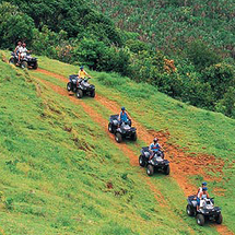 Head off the beaten track on an exciting three-hour quad bike safari and discover some of the island