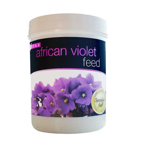 African Violet Feed