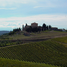 Afternoon Excursion to Chianti - Adult