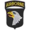 Unbranded Airborne Eagle Cloth Badge