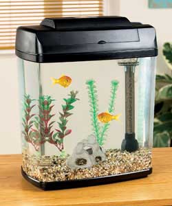 Complete home for coldwater fish.Suitable for 2 to 3 small coldwater fish eg goldfish.Includes light