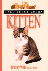 All About Your Kitten