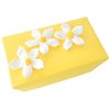 Unbranded All White Selection in ``Sunshine Daisy`` Gift