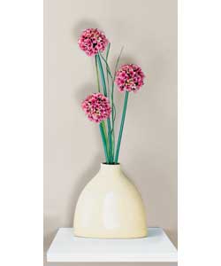 Unbranded Alliums in Cream Vase