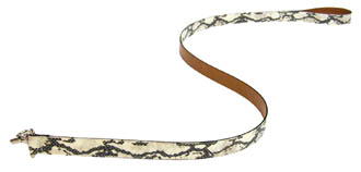 Amberhill 4 Anaconda Lead - 1"