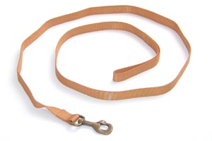 Ancol Training Lead 1" x 72"