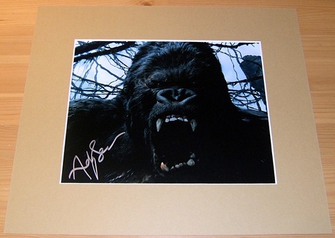 Superb signed photograph of Andy Serkis - King Kong. Signed in silver pen. Certificate of