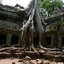 Unbranded Angkor Adventure - Small Group Tour - Adult