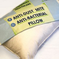 Anti Dust Mite/Anti Bacterial Pillow
