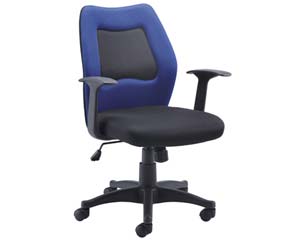 Unbranded Anubis mesh task chair