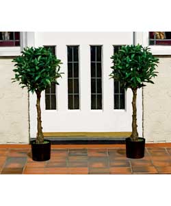 Unbranded Artificial Bay Tree 122cm - Twin Pack
