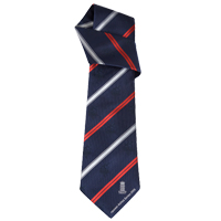 Unbranded Ashes Series 2009 Classic Logo Silk Tie -