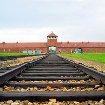 Unbranded Auschwitz Birkenau Tour and Wieliczka Salt Mine