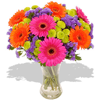 Unbranded Autumn Brights - flowers