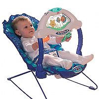 An aquatic themed bouncer which features a clear w