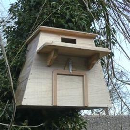 Unbranded Barn Owl Box
