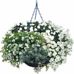 Unbranded Basket and Patio - `White As Snow` Collection